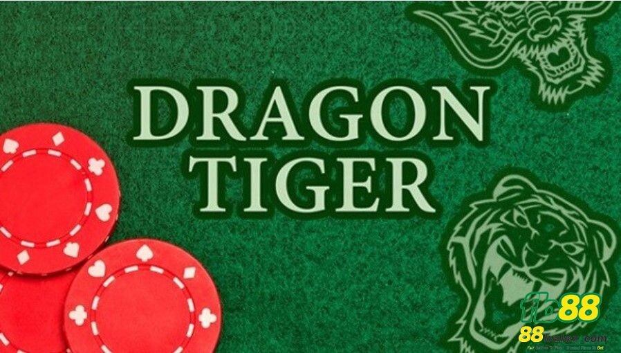 Dragon tiger là gì? 