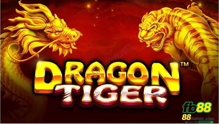 Kinh nghiệm chơi Dragon tiger hiệu quả từ cao thủ